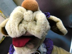 wrinkles purple view